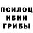 Псилоцибиновые грибы Magic Shrooms Bray Marle