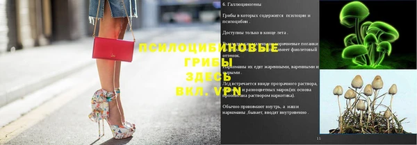 ECSTASY Балахна